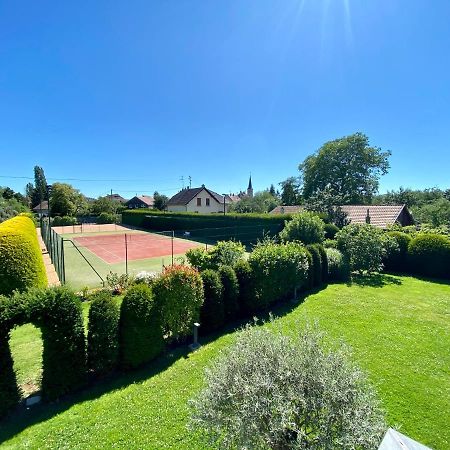 "Ma Vie La" Alsace Bed & Breakfast Kingersheim Luaran gambar